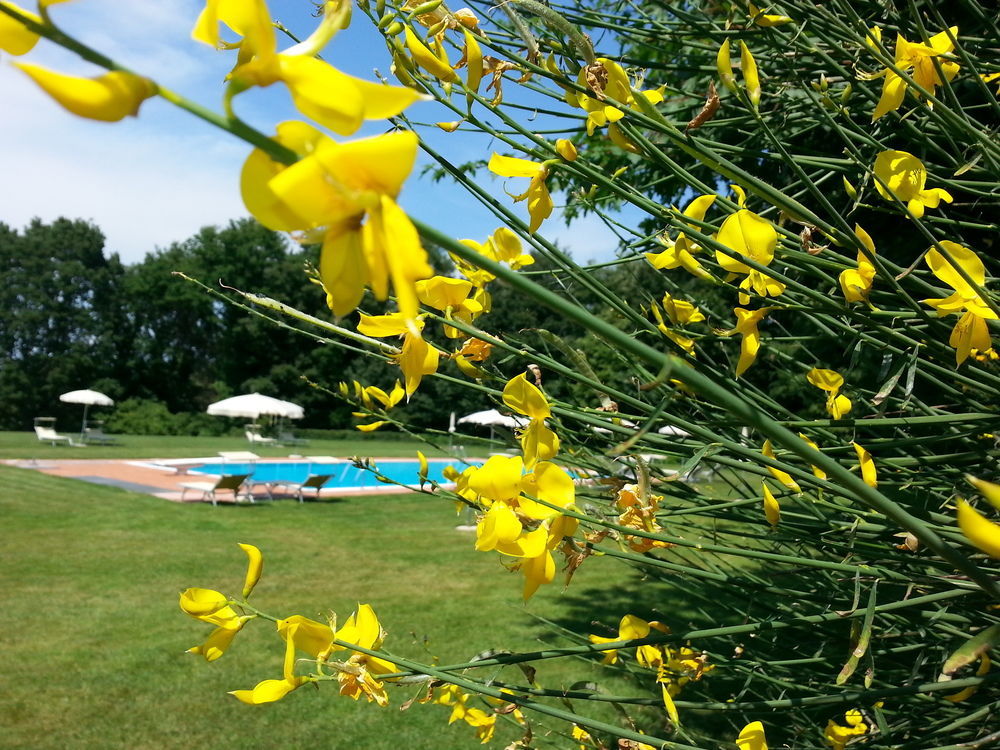 Pratello Country Resort Ghizzano Exteriör bild